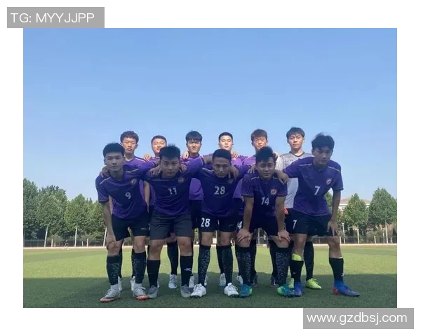 山东职业足球明星阵容全面解析与发展历程回顾